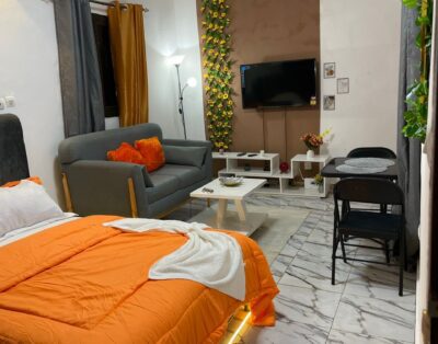 Studio Meublé Abidjan Cocody